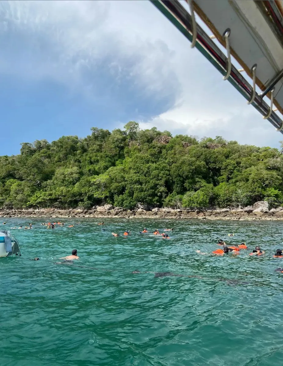 google review photo-1