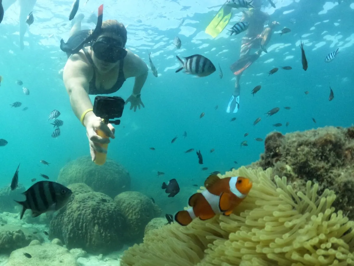 shairbuay customer talu island19