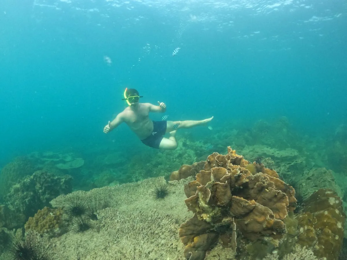 shairbuay customer talu island30